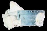 Gorgeous Aquamarine Crystal with Black Tourmaline & Feldspar - Namibia #92701-2